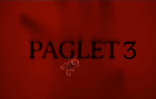 Paglet 3 Prime Play Web Series 2023 Cast